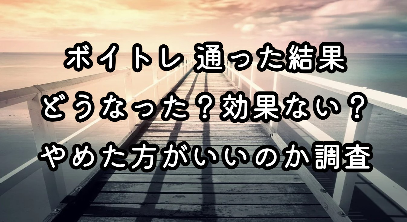 ボイトレ 通った結果どうなった？効果ない？やめた方がいいのか調査